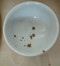 樂(lè )優(yōu)派貓碗陶瓷狗碗貓食盆狗盆寵物碗貓糧碗高腳防打翻貓咪用品 漸變藍 曬單實(shí)拍圖