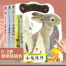 樂(lè )樂(lè )趣亮麗精美觸摸書(shū)小兔比利小熊波比系列4冊動(dòng)物立體感官觸摸書(shū)嬰兒早教翻翻書(shū)兒童啟蒙1-2-3歲寶寶認知中英雙語(yǔ)靚麗撕不爛繪本 【中英雙語(yǔ)加厚版觸摸書(shū)】全套4冊 曬單實(shí)拍圖