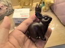 木雕兔擺件家居飾品實(shí)木生肖兔子風(fēng)水工藝品生日禮物桌面小擺件 黑檀木可愛(ài)兔【一對】 高6厘米 曬單實(shí)拍圖