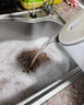 譙清溢管道疏通劑強(qiáng)力溶解廚房下水道油污堵塞去除小飛蟲專用殺蟲500ml 曬單實(shí)拍圖