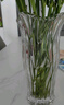 墨斗魚(yú)玻璃花瓶大口徑透明波浪花瓶輕奢花瓶擺件郁金香水培容器花瓶 曬單實(shí)拍圖