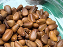 京東京造東北手剝紅松子500g 每日堅果干果罐裝堅果松子 曬單實(shí)拍圖