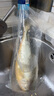 海名威 冷凍黃花魚(yú)700g/2條 寧德大黃魚(yú)地標 海鮮水產(chǎn) 生鮮魚(yú)類(lèi) 中秋 曬單實(shí)拍圖