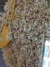 西麥即食燕麥片1000g袋谷物代餐營(yíng)養早餐無(wú)額外添加蔗糖 曬單實(shí)拍圖