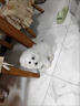 金毛犬專(zhuān)用梳子拉毛針梳狗狗蓬松毛梳子毛刷大狗毛清理器寵物用品 寵物浮毛梳【開(kāi)結梳毛】 曬單實(shí)拍圖