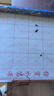 六品堂毛筆字水寫(xiě)布初學(xué)者練字專(zhuān)用小學(xué)生練書(shū)法米字格水寫(xiě)書(shū)法布水洗布蘸水速干仿宣文房第五寶140cm 曬單實(shí)拍圖