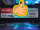 長城（Great Wall）256GB SSD固態(tài)硬盤 M.2接口(NVMe協(xié)議)PCIe 3.0x4 GW3300系列 曬單實(shí)拍圖