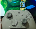 飛智冰原狼3  多模版無(wú)線游戲手柄 類xbox杠桿霍爾搖桿switch電腦PC手機(jī)steam體感NS 曬單實(shí)拍圖