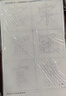 臻言 毛筆字帖楷書(shū) 歐陽(yáng)詢(xún) 九成宮醴泉銘筆畫(huà)練習描紅宣紙書(shū)法大楷字帖楷書(shū)歐楷 初學(xué)者成人歐體臨摹描紅 歐陽(yáng)詢(xún)例字（71張/包） 曬單實(shí)拍圖