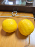安岳黃檸檬2粒350g 曬單實(shí)拍圖