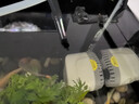 寵小帥魚(yú)缸過(guò)濾器三合一壁掛式水族箱增氧過(guò)濾增氧盒生態(tài)造景循環(huán)凈水器 【四格】過(guò)濾倉(cāng) (適用40-50cm魚(yú)缸) 曬單實(shí)拍圖