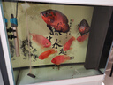 創(chuàng)寧魚缸過濾材料原礦濾材硝化細菌屋陶瓷環(huán)生化培菌球過濾器凈水濾材 原礦濾材【大方塊】1斤、帶網(wǎng)袋 曬單實拍圖