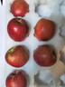 諸氏橙品【精選】高原蘋(píng)果 云南冰糖心蘋(píng)果 新鮮現摘蘋(píng)果孕婦水果禮盒 4斤精選12枚禮盒-商務(wù)禮 曬單實(shí)拍圖