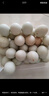 星奇堡電腦椅子辦公座椅靠背椅會(huì )議室學(xué)生宿舍凳子家用學(xué)習椅子 加固款【黑網(wǎng)升級靠背】 曬單實(shí)拍圖