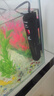 森森魚(yú)缸加熱棒自動(dòng)恒溫防爆熱帶魚(yú)加溫棒烏龜水族箱恒溫器加熱器 【數顯溫控】離水斷電加熱棒100W 曬單實(shí)拍圖