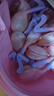 周十五益生菌蜂蜜露孕婦開(kāi)塞蜜露待產(chǎn)包用品一次性產(chǎn)后兒童蜜栓音符36支 曬單實(shí)拍圖