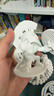拓竹【新品預售】P2S 3D打印機器大尺寸FDM家用桌面立體打印機高精度高速AI監測外吸氣冷卻烘干P1S升級 【預售15天內發(fā)貨】P2S 多色打印套裝(大陸版） 曬單實(shí)拍圖
