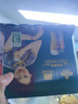 青島啤酒（TsingTao）美酒佳人 全麥白啤 500ml*12罐 博物館文創(chuàng  )啤酒 青島白啤 500mL 12罐 曬單實(shí)拍圖