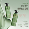 三生花【馬柏全同款】控油蓬松洗發(fā)水400ml空氣瓶長(cháng)效控油無(wú)硅油洗發(fā) 曬單實(shí)拍圖