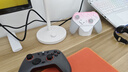 蓋世小雞（GAMESIR）超新星無(wú)線(xiàn)游戲手柄帶底座 適用switch2手機PC安卓Steam電腦NS2pro電視體感藍牙有線(xiàn)粉色雙人成行 曬單實(shí)拍圖