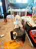 居元素泡酒罐高檔加厚耐熱玻璃密封泡酒容器實(shí)木蓋玻璃龍頭+實(shí)木底座10L 曬單實(shí)拍圖