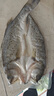 鮮到鮮得冷凍三去白蕉海鱸魚400g 生鮮 魚類 海鮮水產(chǎn) 深海魚  曬單實拍圖