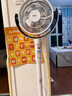 東芝（TOSHIBA）【風(fēng)待月】電風(fēng)扇空氣循環(huán)扇落地3D自動(dòng)搖頭15檔直流變頻電風(fēng)扇靜音臥室超靜音一級能效400XCN(W) 曬單實(shí)拍圖