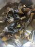 正宗干海帶頭干貨厚實(shí)軟糯海帶梗海帶片日曬新貨煲湯涼拌家商用 干海帶頭 5袋 曬單實(shí)拍圖
