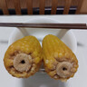 京鮮生東北黃糯玉米棒200g×8根 甜黏玉米 多種包裝隨機發(fā)貨 源頭直發(fā) 曬單實(shí)拍圖