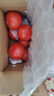 新鮮沙瓤西紅柿自然成熟老品種現(xiàn)摘現(xiàn)發(fā)番茄下蔬菜生鮮減肥 新鮮西紅柿 2斤 凈重 曬單實拍圖