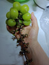 京覓 蜜光玫瑰晴王青提 陽光葡萄 凈4斤單顆10g起 無籽提子 源頭直發(fā) 曬單實拍圖