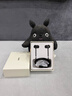 SNSY 適用索尼【已售100萬+丨日本進(jìn)口品質(zhì)】降噪有線耳機(jī)2025新款入耳式k歌高端高音質(zhì)音樂睡眠游戲 高雅黑【Type-C接口數(shù)字解碼】適配索尼華為蘋果 舒適佩戴 丨線控帶麥丨超清通話 曬單實(shí)拍圖