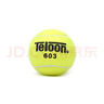 天龍（Teloon）網(wǎng)球訓練習用球初學(xué)者入門(mén)進(jìn)階網(wǎng)球 603袋裝 曬單實(shí)拍圖