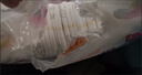 花王（Merries）妙而舒官方進(jìn)口超薄透氣干爽嬰兒紙尿褲尿不濕拉拉褲學(xué)步褲NB-XL 紙尿褲S82片 曬單實(shí)拍圖