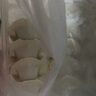 灣仔碼頭大白菜豬肉水餃1800g90只早餐食品速食面點(diǎn)生鮮速凍餃子 曬單實(shí)拍圖