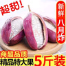 采緹（CAITI）新鮮八月瓜水果八月炸5斤九月黃當季野香蕉甜香瓜大果孕婦時(shí)令 精選2斤裝 中果 曬單實(shí)拍圖