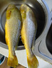 海名威 冷凍黃花魚(yú)700g/2條 寧德大黃魚(yú)地標 海鮮水產(chǎn) 生鮮魚(yú)類(lèi) 中秋 曬單實(shí)拍圖