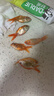 紅國獅金魚(yú)冷水魚(yú)鴻運當頭鶴頂鎏金金魚(yú)苗獅子頭好養耐活淡水金魚(yú) 隨機金魚(yú)3-5cm6條 曬單實(shí)拍圖
