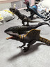 Jurassic World生日禮物電影同款男孩恐龍玩具侏羅紀世界大電影之棘龍JGB56 曬單實(shí)拍圖