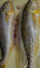 海名威 冷凍黃花魚700g/2條 寧德大黃魚地標(biāo) 海鮮水產(chǎn) 生鮮魚類 海魚 曬單實拍圖