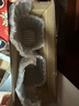 好奇（Huggies）金裝拉拉褲XXL74(15kg以上)尿不濕【速干不易紅】 曬單實(shí)拍圖