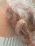 崠鮮新鮮乳鴿350g*3只 散養(yǎng)冷凍鴿子肉煲湯燒烤食材 源頭直發(fā)  曬單實拍圖