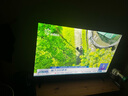 飛利浦（PHILIPS）50英寸4K超高清智慧全面屏 高頻調光護眼 遠場(chǎng)AI語(yǔ)音智能液晶平板電視機50PUF7590/T3 國家補貼15% 曬單實(shí)拍圖