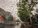 SOFT996倍氟素雨敵日本進(jìn)口 汽車(chē)玻璃防雨劑玻璃水驅水劑驅去油膜70ml 曬單實(shí)拍圖