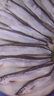賣(mài)魚(yú)七郎青島大鲅魚(yú) 中秋海鮮禮盒整條海魚(yú)馬鮫魚(yú)海捕生鮮 1條/5斤 曬單實(shí)拍圖