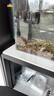 坤寧王金晶超白玻璃魚(yú)缸50一體缸家用小型造景缸客廳桌面溪流缸50*26*30 曬單實(shí)拍圖