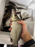 國良釣魚(yú)老中藥酒小藥野釣黑坑通用鯽魚(yú)鯉魚(yú)草鳊餌料誘魚(yú)添加劑誘食劑 中藥酒50ml 曬單實(shí)拍圖