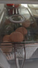 佳幫手冰箱收納盒食品級冰箱水果蔬菜雞蛋保鮮盒帶把手分裝盒 大號3只裝 曬單實拍圖