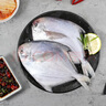 富海錦 渤海銀鯧魚(yú)450g 3條 平魚(yú) 火鍋燒烤食材 烤魚(yú)海鮮魚(yú)類(lèi)中秋送禮 曬單實(shí)拍圖