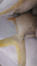 環(huán)球水產(chǎn) 南海金鯧魚(yú)凈重2斤/2條 生鮮魚(yú)類(lèi) 深海魚(yú) 海鮮 火鍋燒烤家庭聚餐 曬單實(shí)拍圖